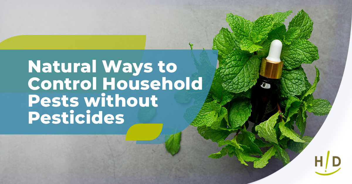 Natural Ways to Control Household Pests without Pesticides