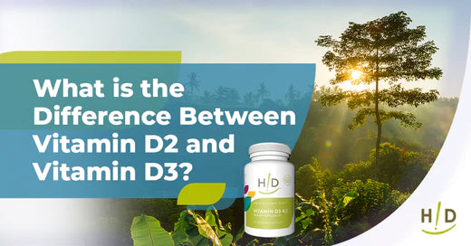What is the difference between vitamin D2 and vitamin D3? text with supplement bottle and nature background