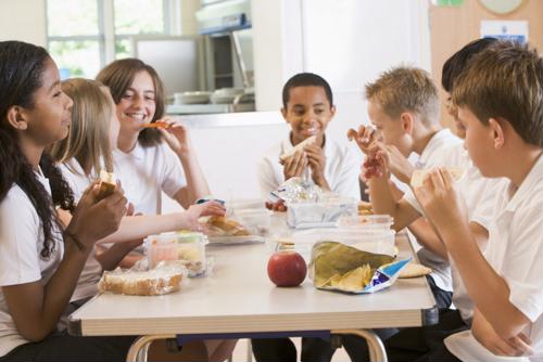 Obesity and academic performance are among the main concerns of poor nutrition in student lunches.