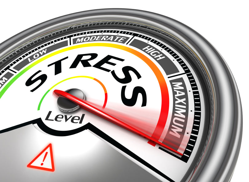 Does Stress Feed Cancer?