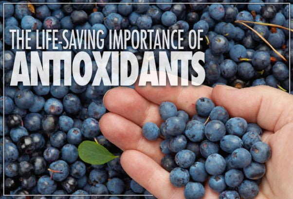 The Life-saving Importance of Antioxidants