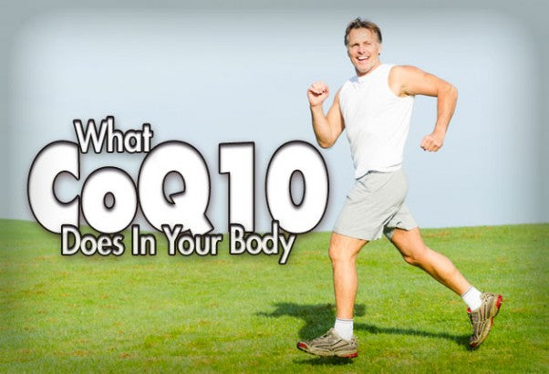 What CoQ10 Does In Your Body