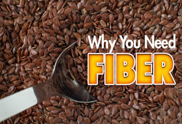 Why You Need Fiber
