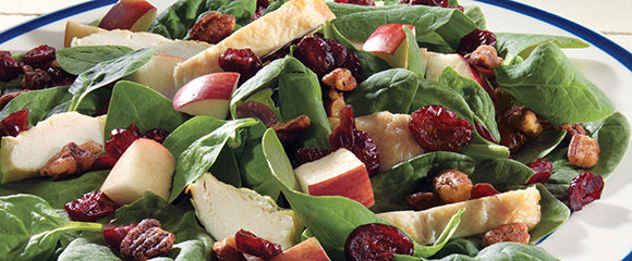 Connie's Holiday Apple/Cranberry Salad