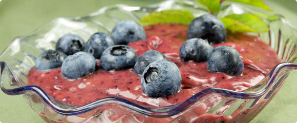 Raw Non-Dairy Blueberry “Yogurt”