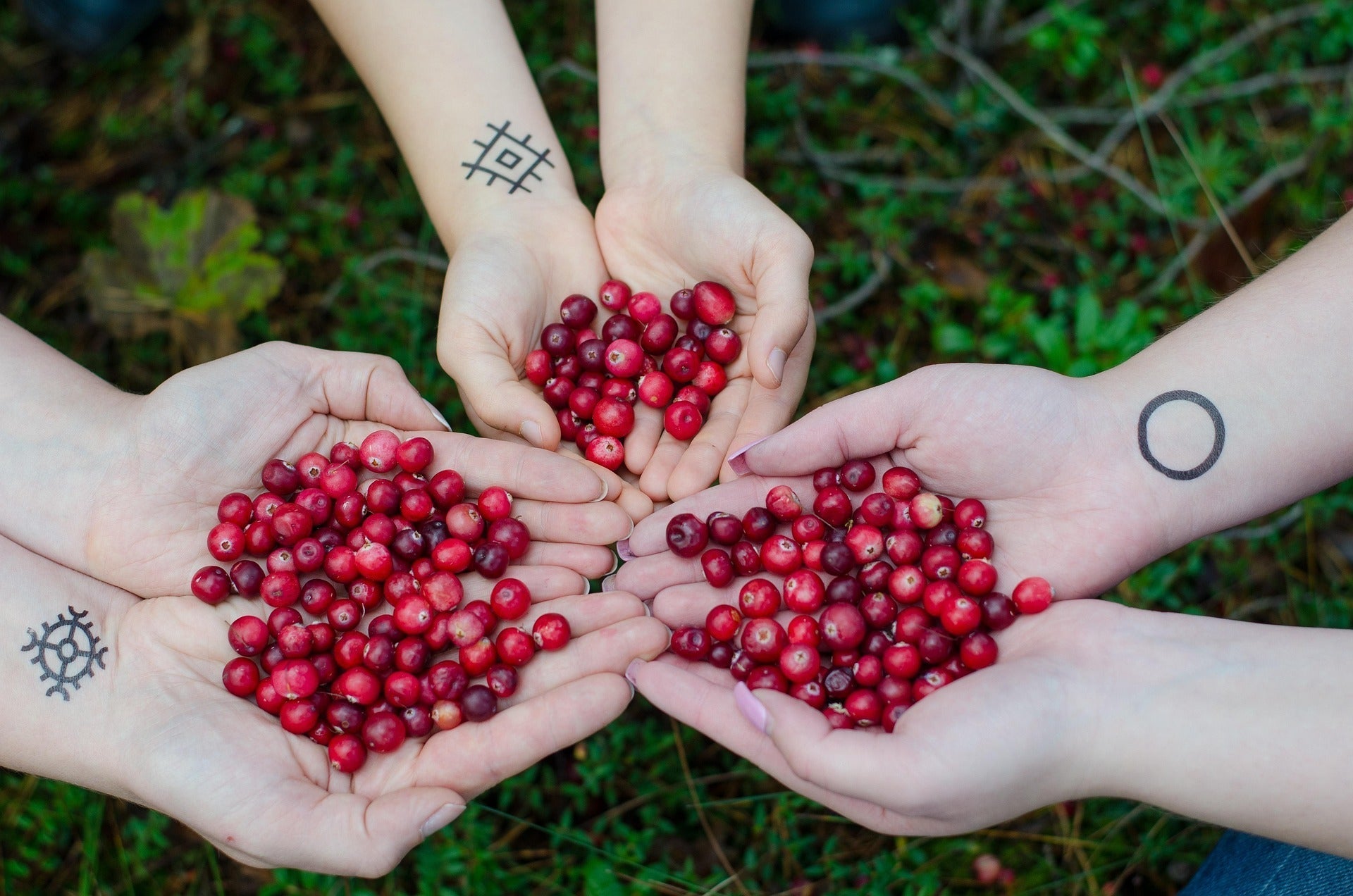 Ditch the Doubt: Cranberries Are the Underrated Superfood You Need Now