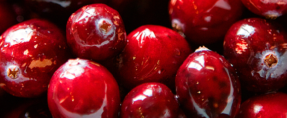 Raw Holiday Cranberry Sauce
