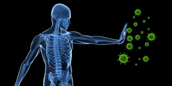 How to Boost Your Immune System (With Maximum Results & Minimal Hassle)