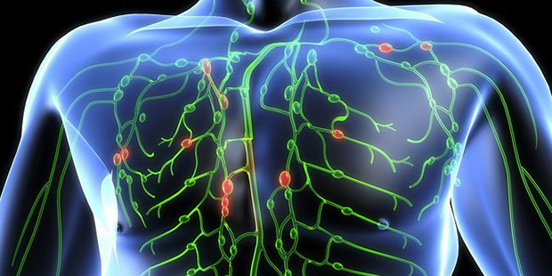 Is Your Lymph System Working At Full Capacity?
