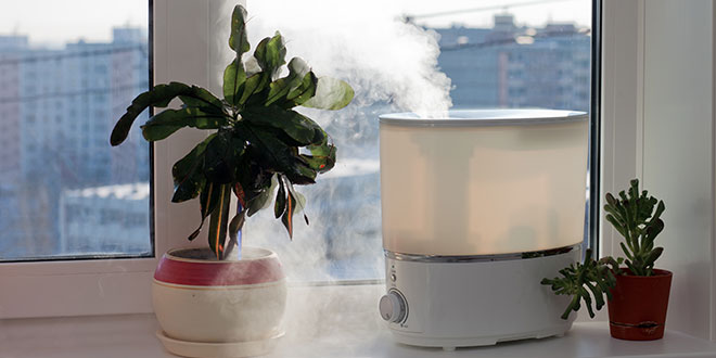 How To Naturally Add Humidity To Your Home