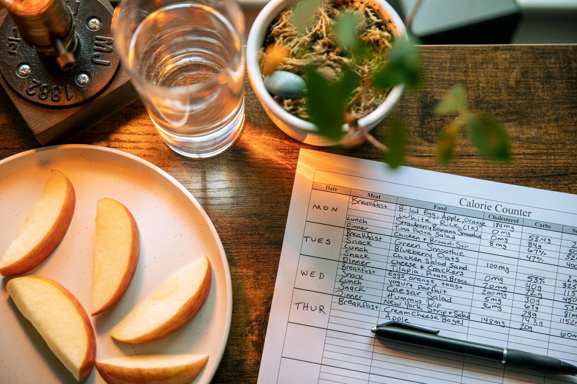 Plant-Based Diet vs. Calorie Counting: Which is Better?