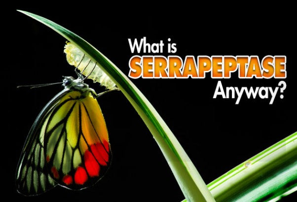 What Is Serrapeptase, Anyway?