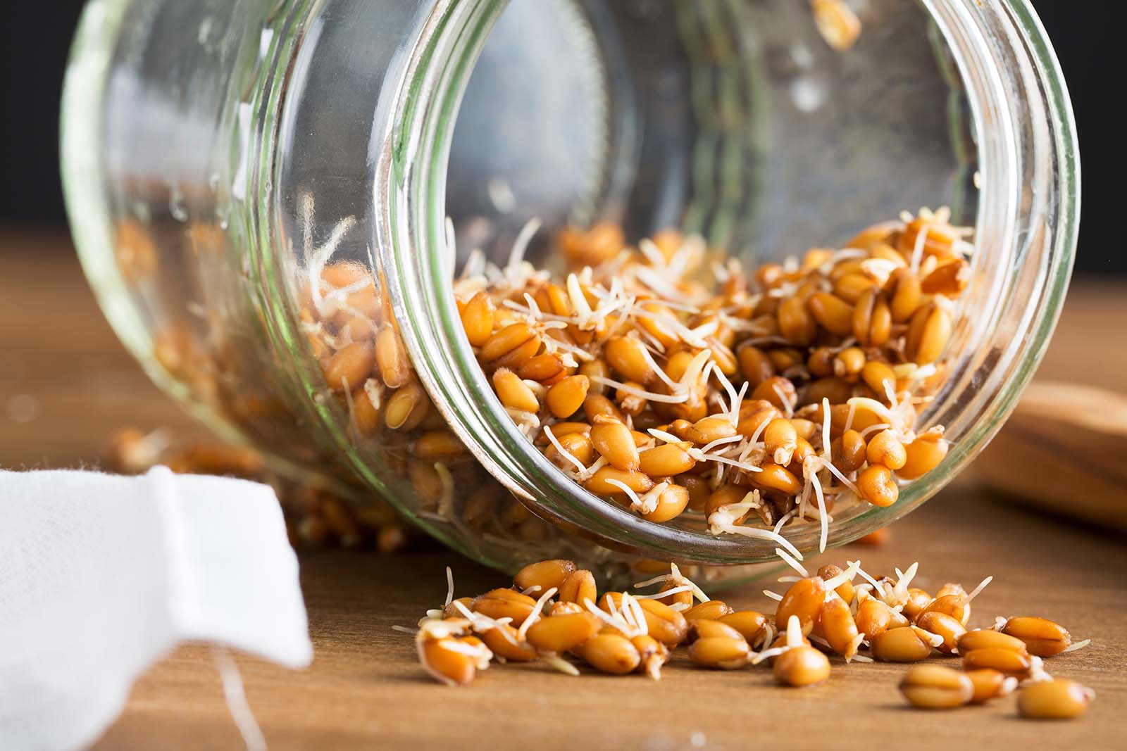 The Pros and Cons of Sprouted Grains