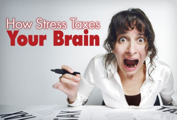 How Stress Taxes Your Brain