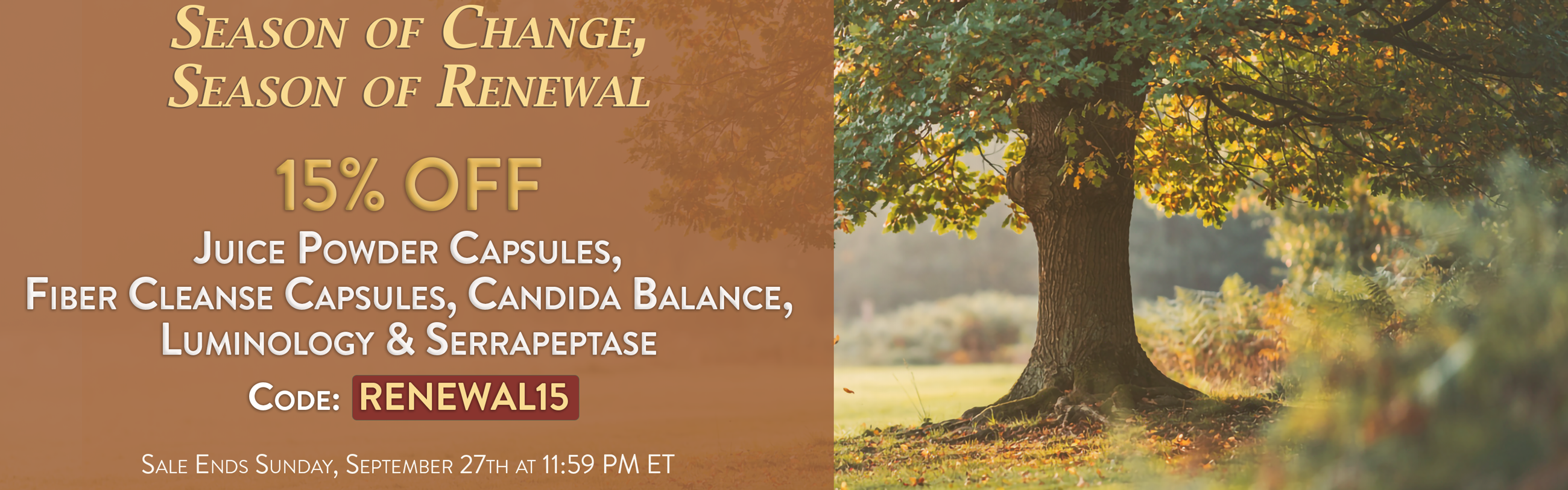 Season of Change, Season of Renewal