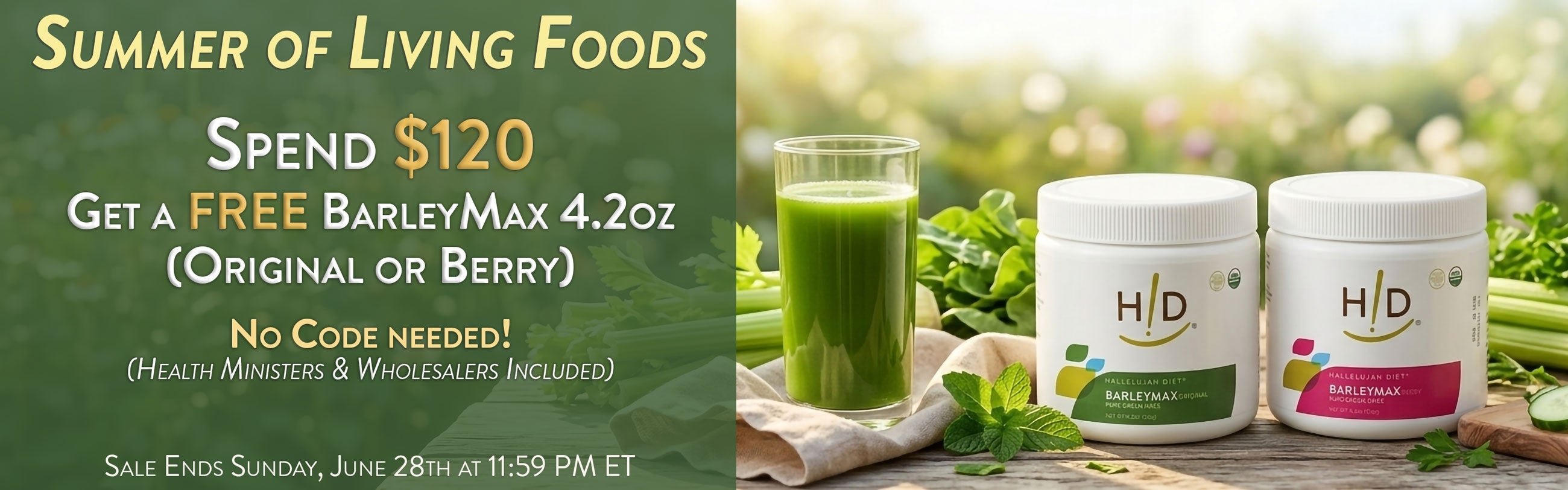 Summer of Living Food Sale