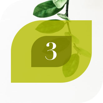 Number 3 with green leafy background