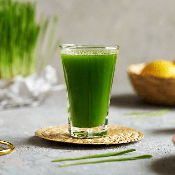 Fresh pressed wheat grass juice for immune support