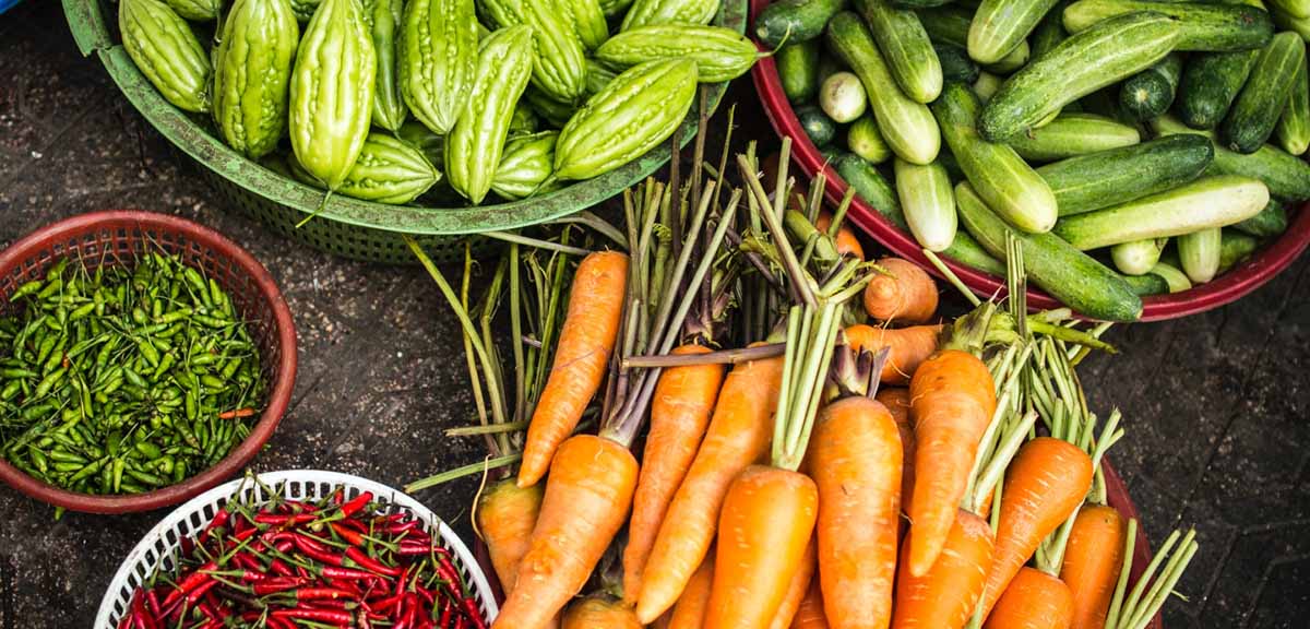 natural, organic vegetables in the garden